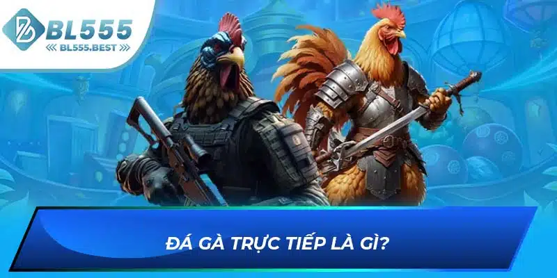 Đá Gà Trực Tiếp - Loại Hình Giải Trí Hấp Dẫn Tại BL555 5 Đá gà trực tiếp là gì?