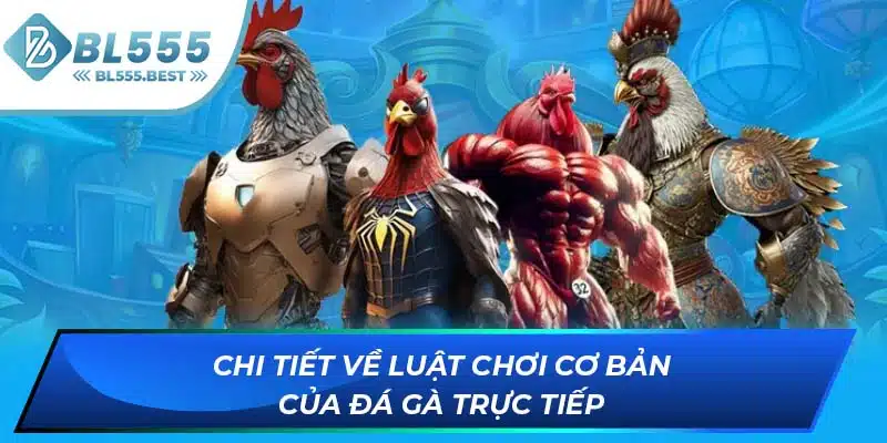 Đá Gà Trực Tiếp - Loại Hình Giải Trí Hấp Dẫn Tại BL555 6 Chi tiết về luật chơi cơ bản của đá gà trực tiếp