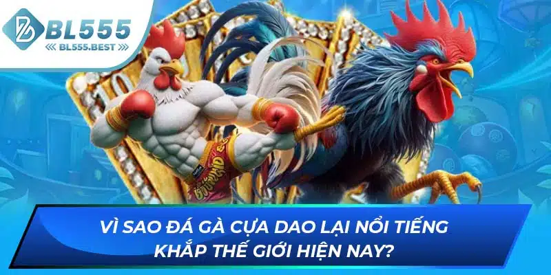 Đá Gà Cựa Dao - Siêu Phẩm Giải Trí Cực Kịch Tính Tại BL555 7 Vì sao đá gà cựa dao lại nổi tiếng khắp thế giới hiện nay?